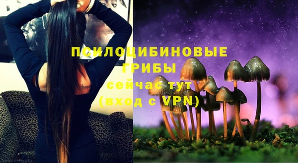 шишки Армянск