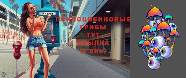 эйфоретик Балахна