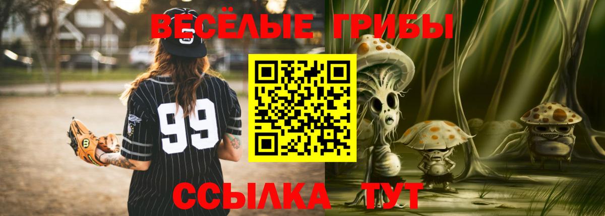 Похвистнево  Галлюциногенные грибы ЛСД  Вход с VPN 